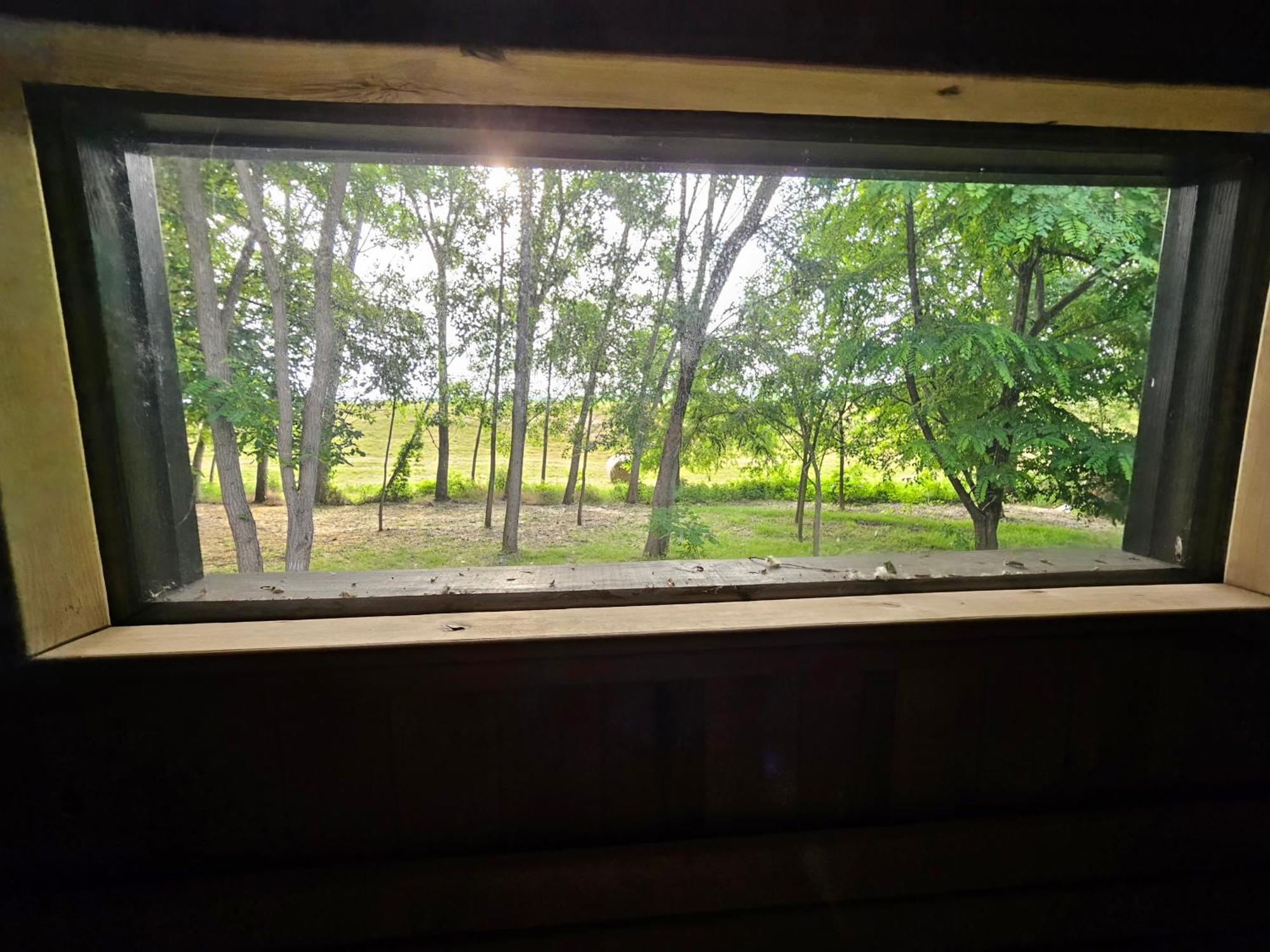 Meszes Apartman Kalocsa Zimmer foto